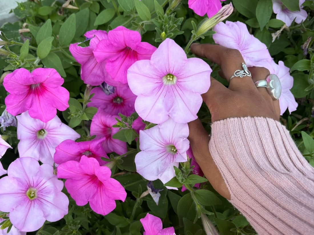 Messages From Her: Reflections on Turning 28